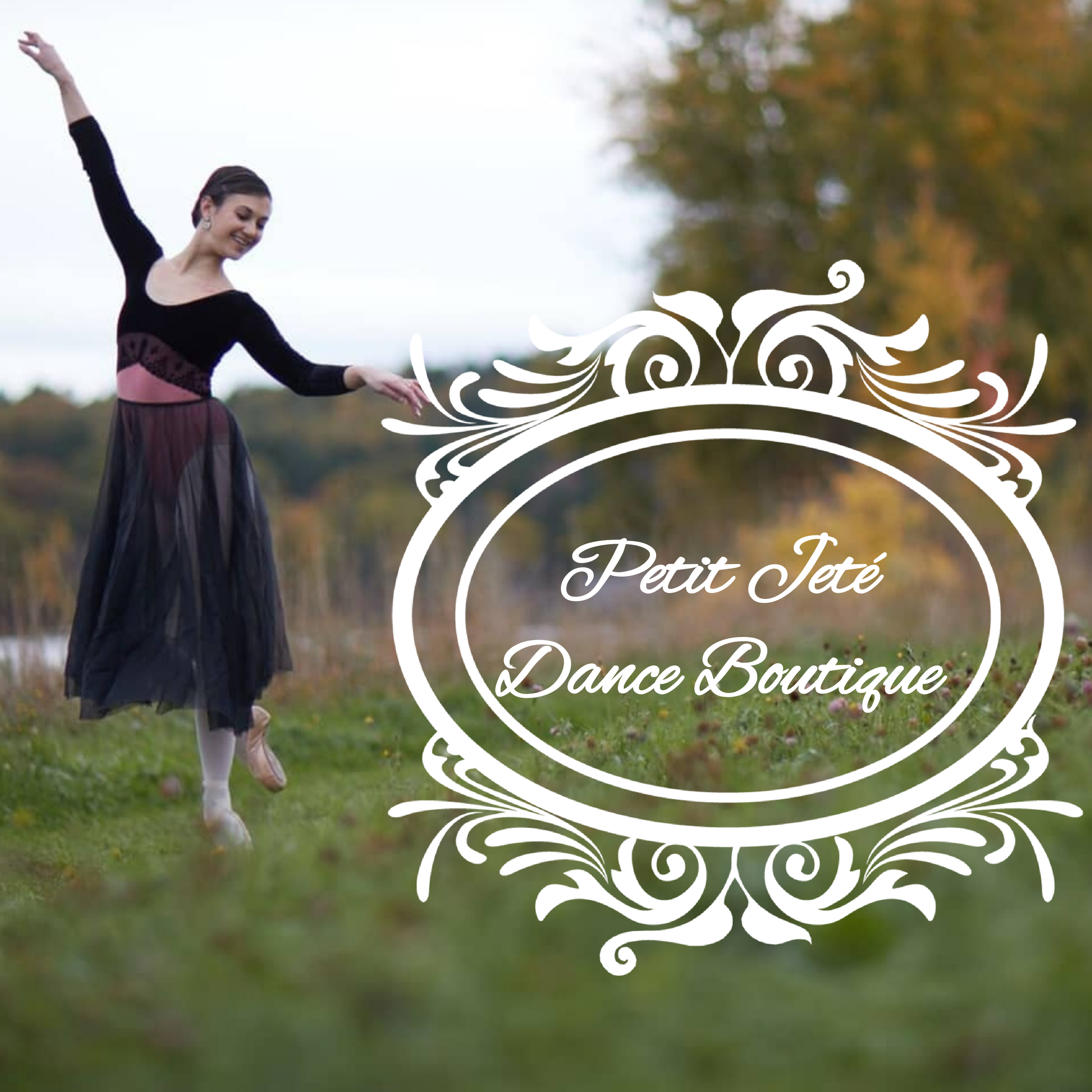 Appointments Petit Jete Dance Boutique